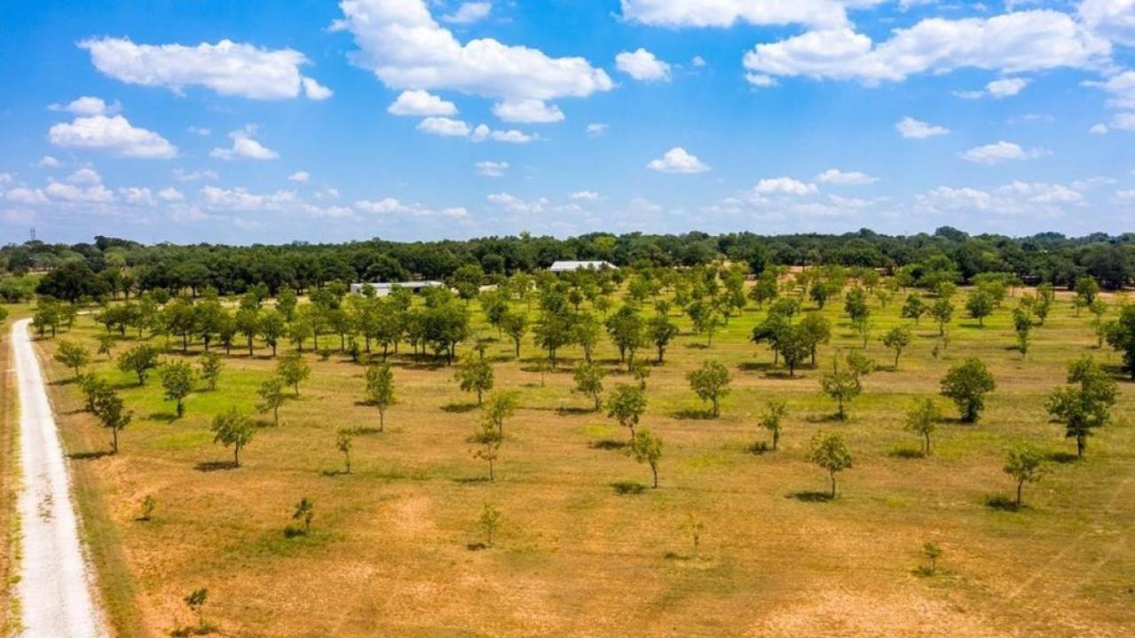 Pecan Farm Haus Fredericksburg Esterno foto